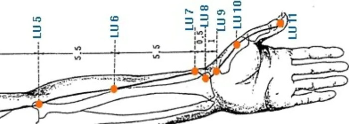 Afbeelding van de Long-meridiaan - wat zijn meridianen